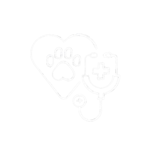 transparent-Photoroom-removebg-preview