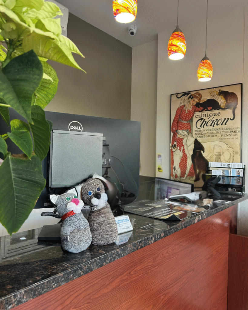 SFAH Animal Hospital Brooklyn